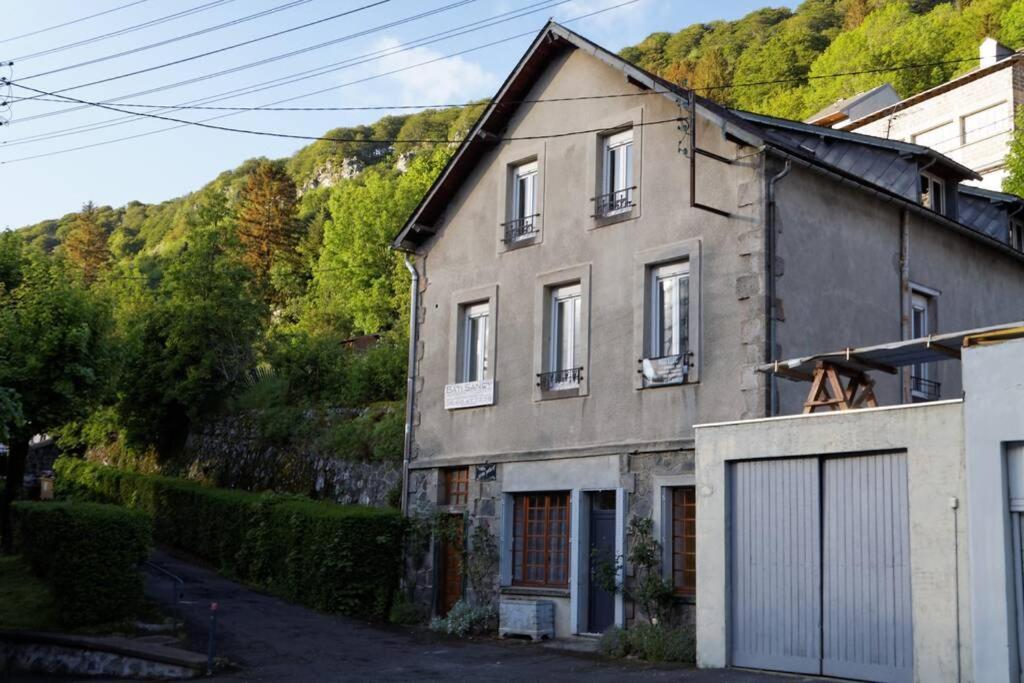 Villa Jean Julien - Les Cascades - Appartement T3 - 2 Chambres - 6 Personnes Le Mont-Dore Dış mekan fotoğraf