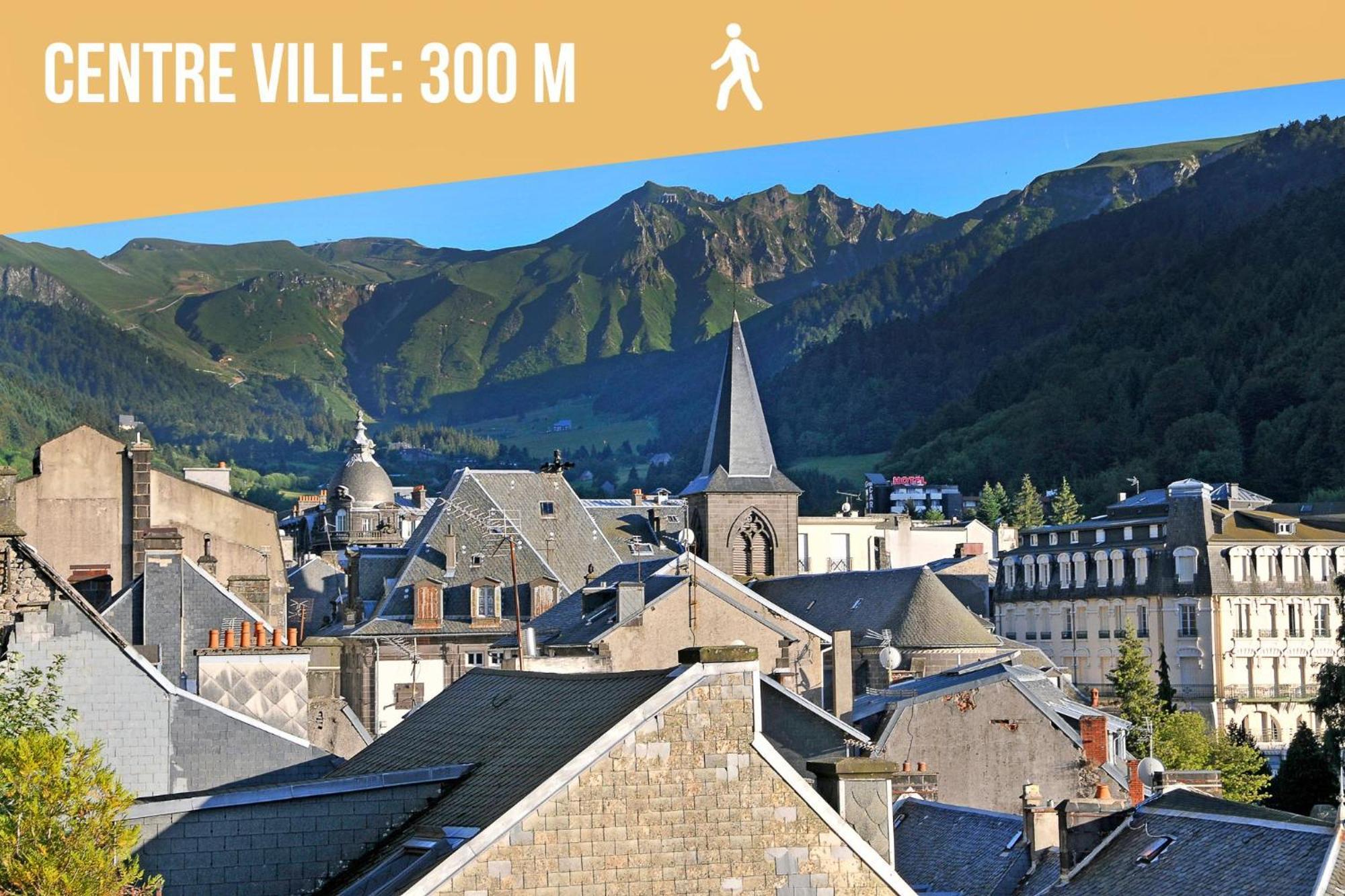 Villa Jean Julien - Les Cascades - Appartement T3 - 2 Chambres - 6 Personnes Le Mont-Dore Dış mekan fotoğraf